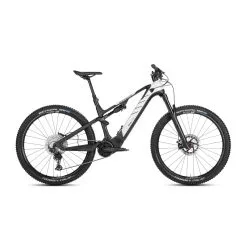 VTT Electrique 29" Rotwild R.C750 FS Core 2022